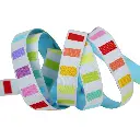 Ribbon Yardage - Disco Stripe - Whisper