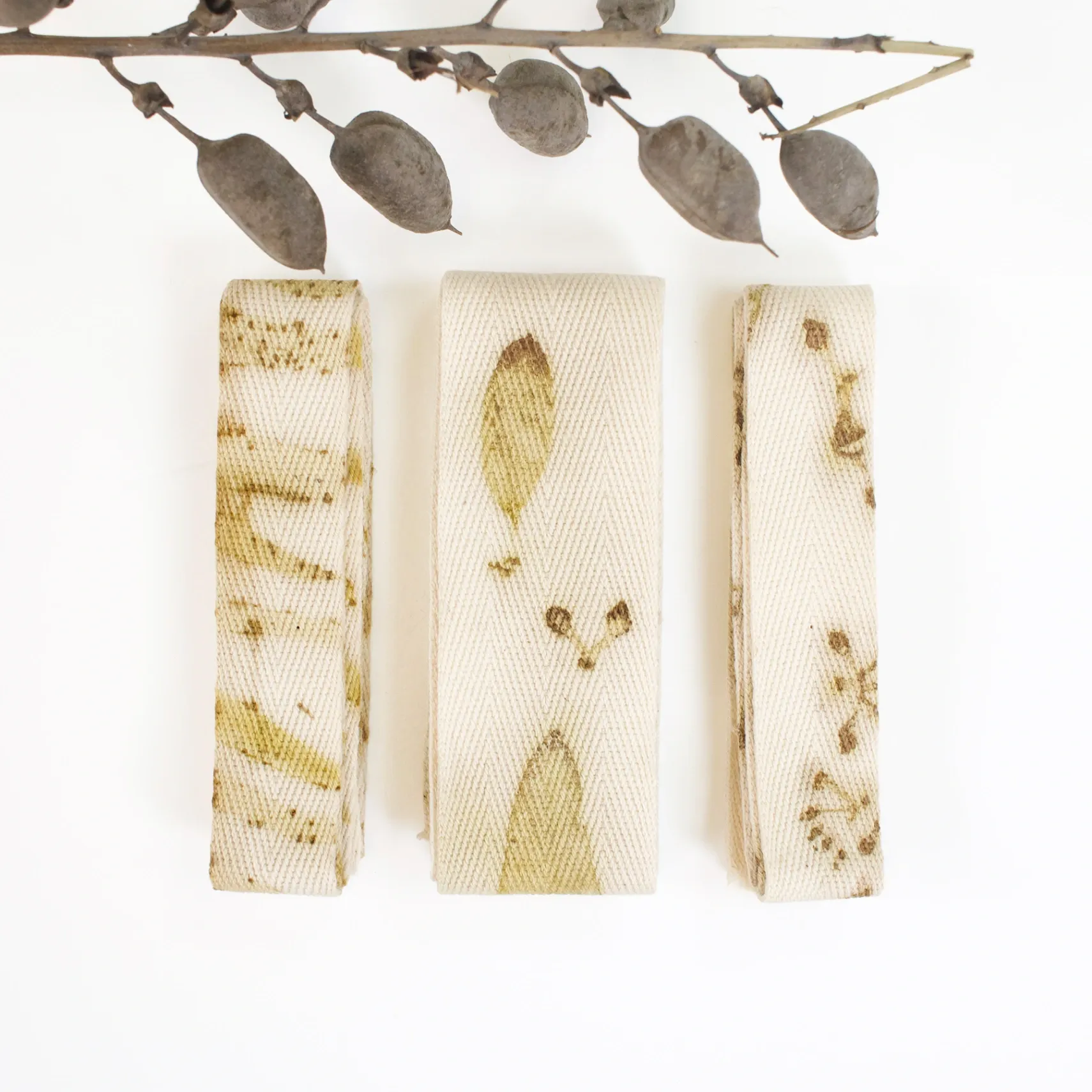 Moon Lagoon & Seeded Eucalyptus Ribbon Pack