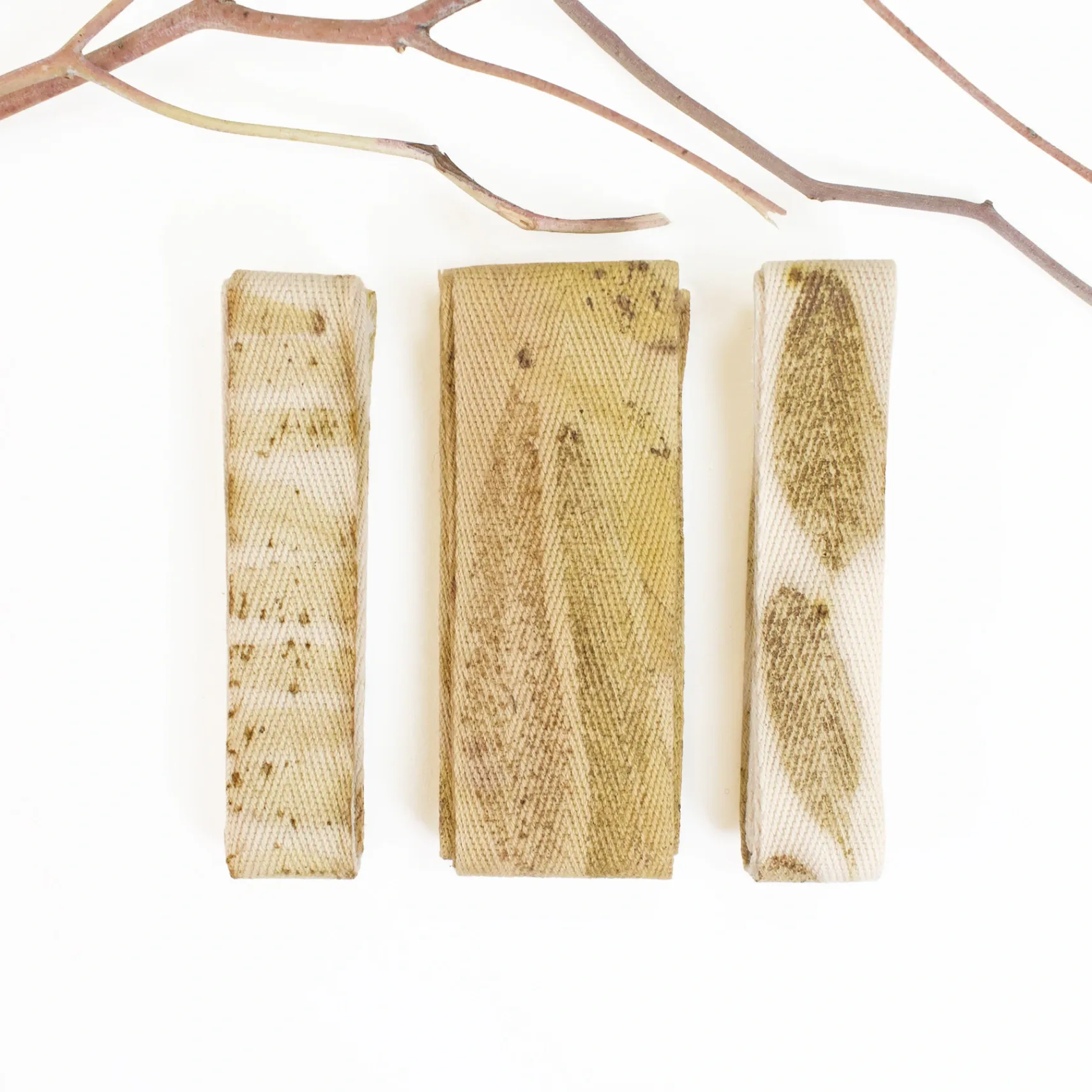 [RBPK_1000] Willow Leaf Eucalyptus Ribbon Pack