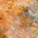 Double Dye Wool - Brook Trout