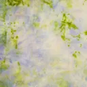 Double Dye Wool - Rainwashed Garden