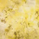 Double Dye Wool - Buttered Toast