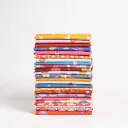 Persimmon by Rashida Coleman-Hale FQ Bundle