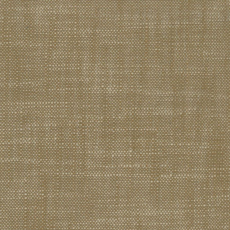 #3142 Half Yard - Canvas