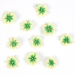 [APQ_ORF-2] Green, 10 Pack, 9/16" Ombre Ribbon Flowers