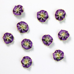 [APQ_ORF-6] Purple, 10 Pack, 9/16" Ombre Ribbon Flowers