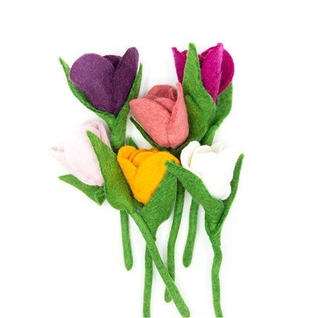 Tulip Flowers