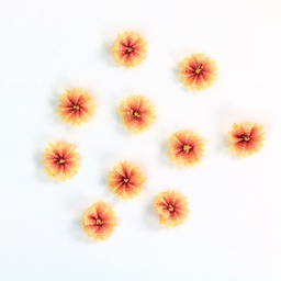 [APQ_ORF-8] Coreopsis, 10 Pack, 9/16" Ombre Ribbon Flowers