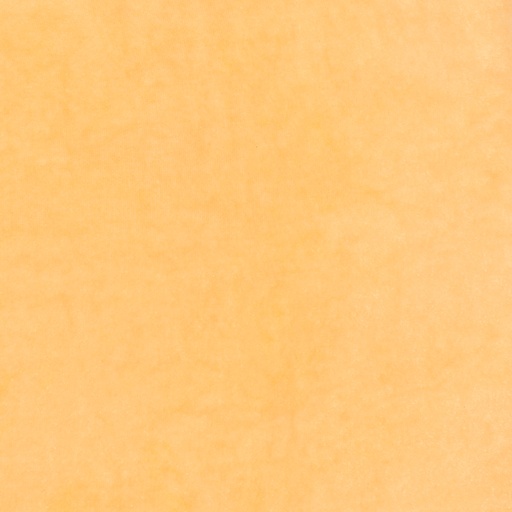 Hand Dyed Velvet - Dried Apricot