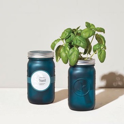 [MS-GJ-1020] ​​​​​Garden Jar - Basil