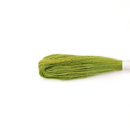 [TEM_G-7] Natural Dyed Embroidery Thread - Green 7
