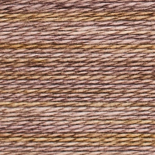 [AB-092] Chicory - Acorn Bobbin (092)
