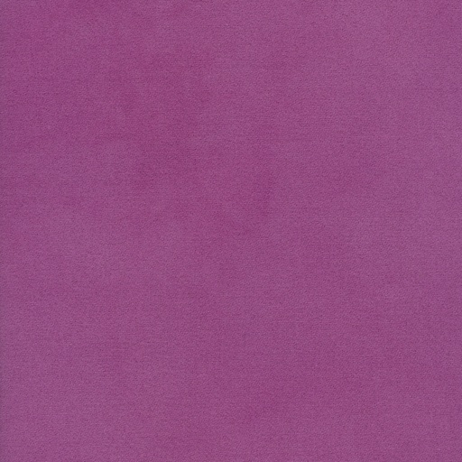 Viola - Wool Solid