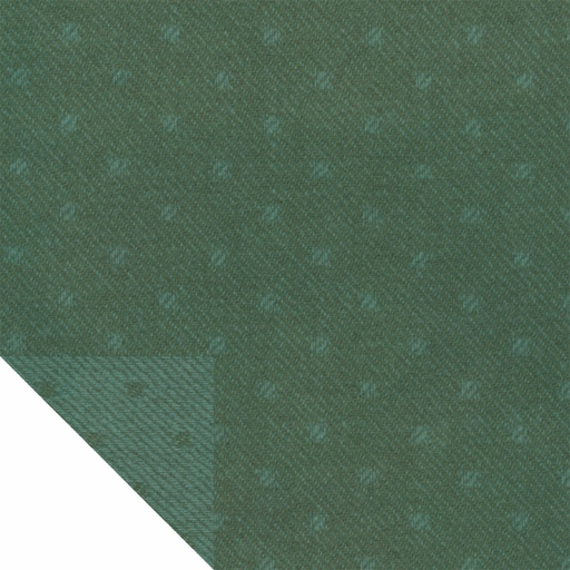 Robins Egg - Polka Dot
