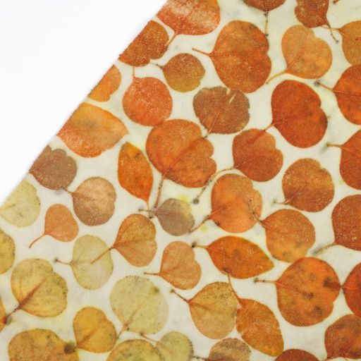 [HDWECO-027] Eco Print Wool Fat 1/4 - Mixed Eucalyptus on Sparkle