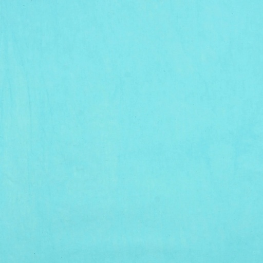[YARD-0890-2] #0890 Half Yard