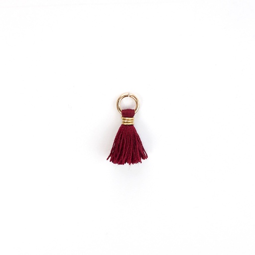 Tassels Charm