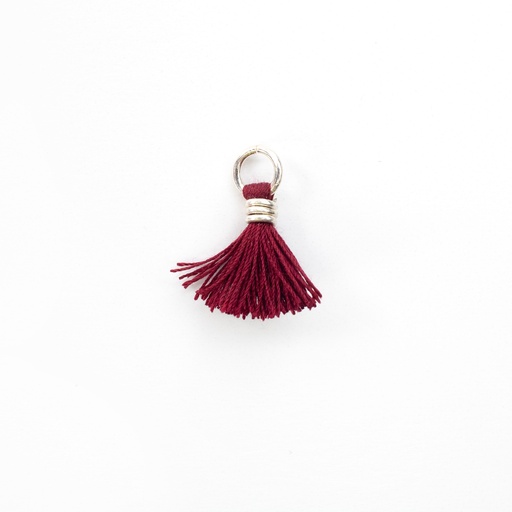 Tassels Charm