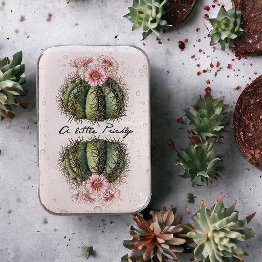 [FFN-011] Cactus Magnetic Notions Tin