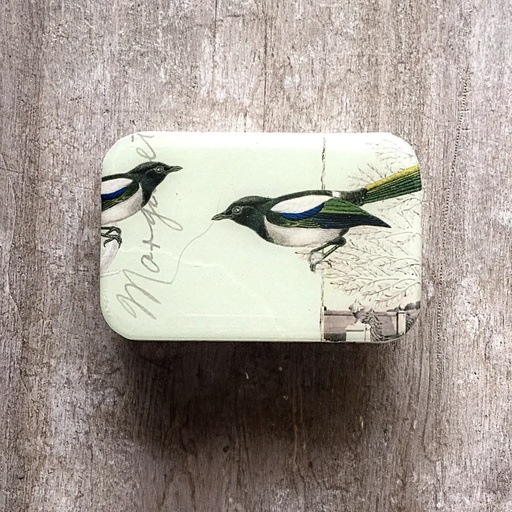 [FFN-013] Magpie Magnetic Notions Tin