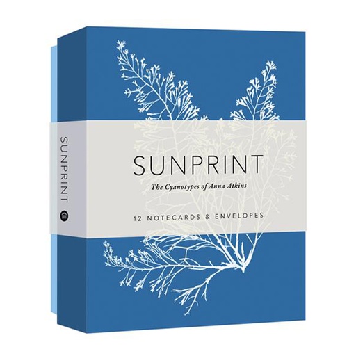 [SUN-914] Sunprint Notecards