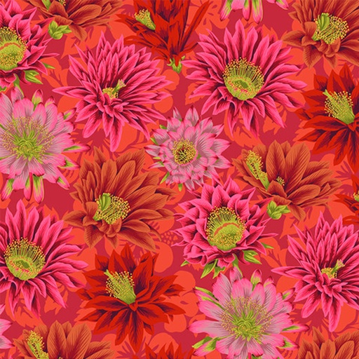 [YARD_6059-2] #6059 Half Yard