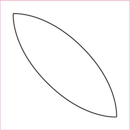 Leaf Papers